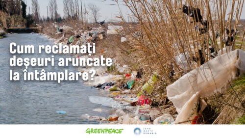 GHID | Cum reclamați deșeuri aruncate la întâmplare?